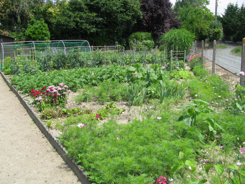 Jardin juin 2010