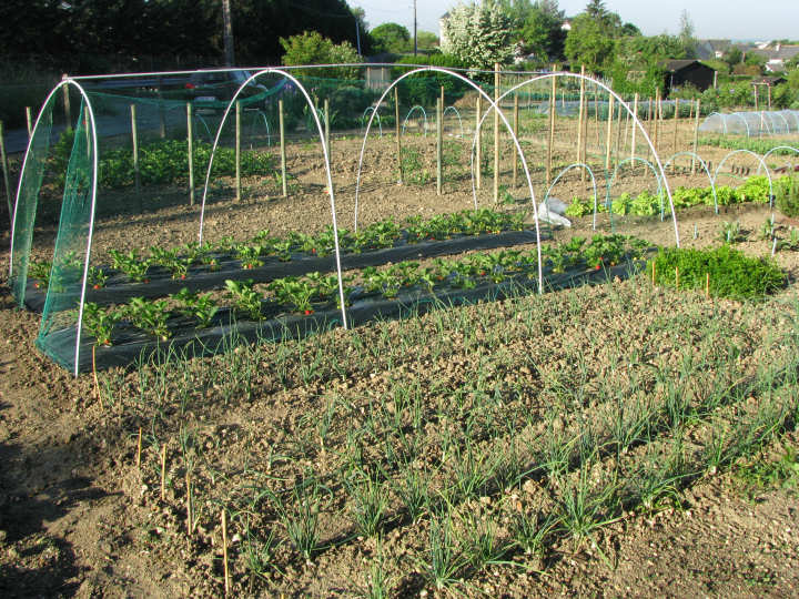 Jardin Tours mai 2011