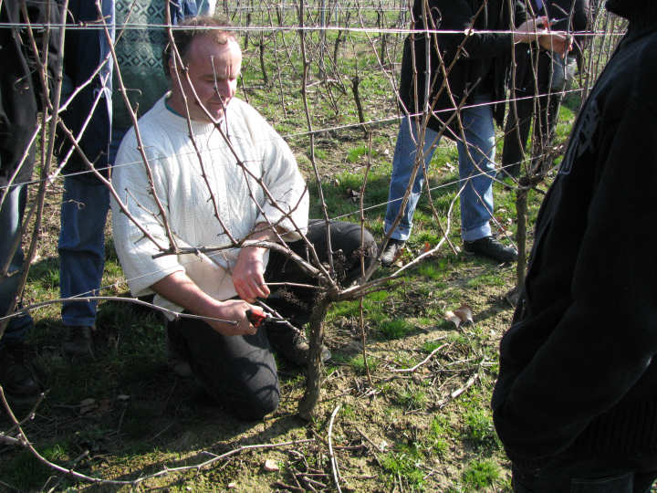 RISA 2011 - concours